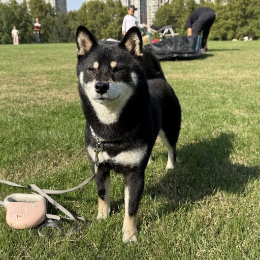 边走边写，随意生活